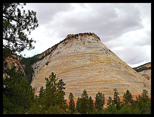 Checkerboard mesa Zion